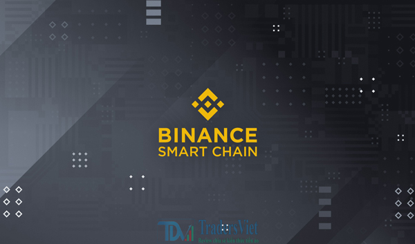 https://tradersviet.com/binance-smart-chain-la-gi/
