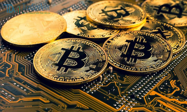 Bitcoin và Altcoin khác nhau như thế nào?