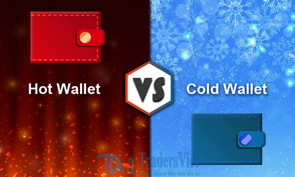 2 loại ví phổ biến trong Ví tiền mã hoá là gì?